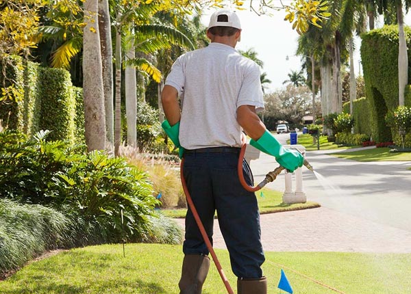 About Lacon IL Pest Control